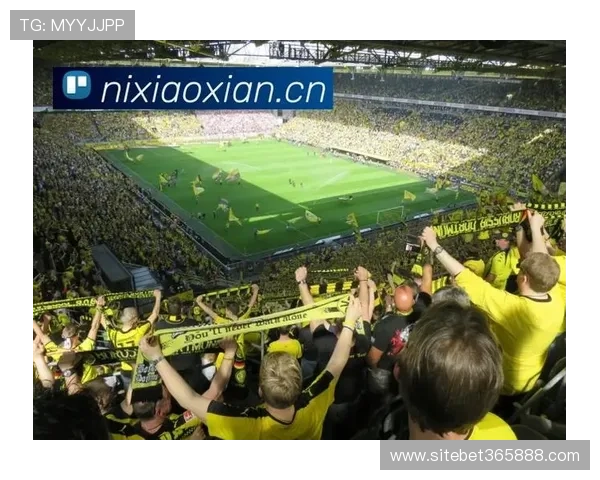 365体育网址为用户打造安全稳定的体育娱乐平台，享受高清赛事直播体验