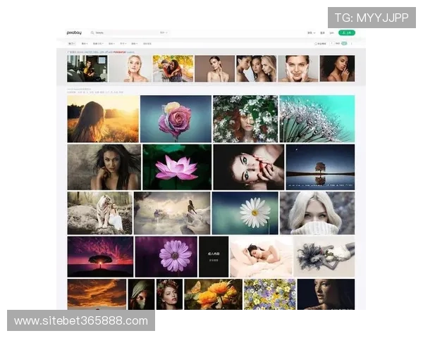 bet365线上手机版最新版本上线，优化界面提升用户体验与投注效率