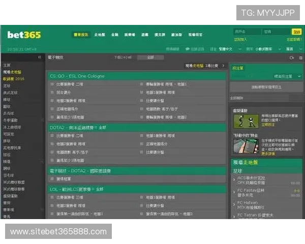 最新版bet365在线地址更新,轻松应对访问受限的情况与解决方案