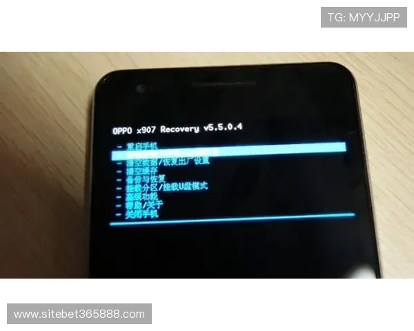 365日博手机版APP安全可靠，提供全天候稳定的在线娱乐体验