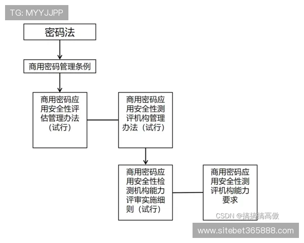 半岛体育入口安全登录流程详解确保用户账号信息安全与顺畅体验